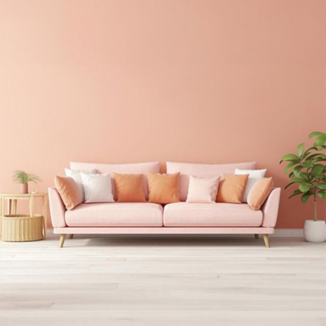 Velvet Couch